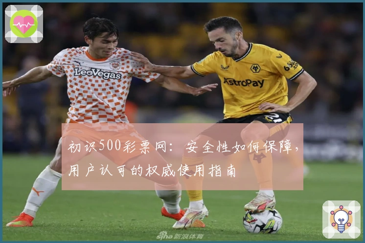 初识500彩票网：安全性如何保障，用户认可的权威使用指南