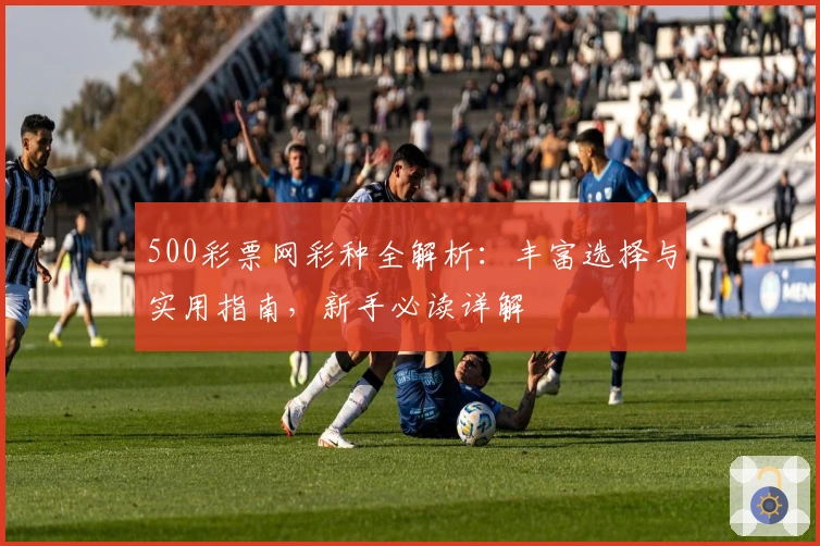 500彩票网彩种全解析：丰富选择与实用指南，新手必读详解