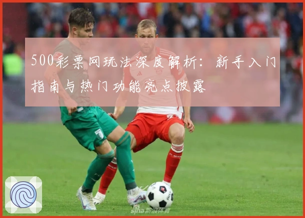 500彩票网玩法深度解析：新手入门指南与热门功能亮点披露