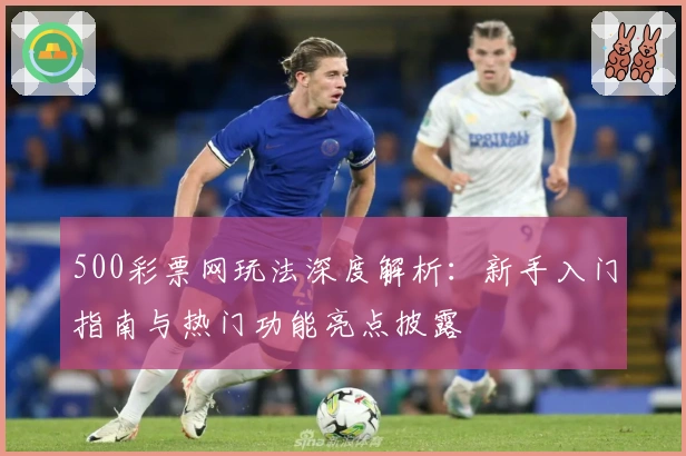 500彩票网玩法深度解析：新手入门指南与热门功能亮点披露