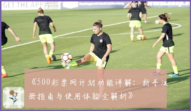 《500彩票网计划功能详解：新手注册指南与使用体验全解析》