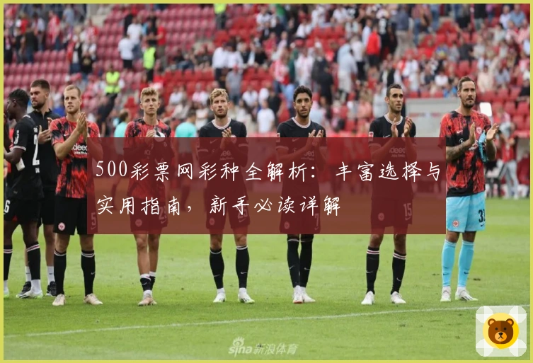 500彩票网彩种全解析：丰富选择与实用指南，新手必读详解